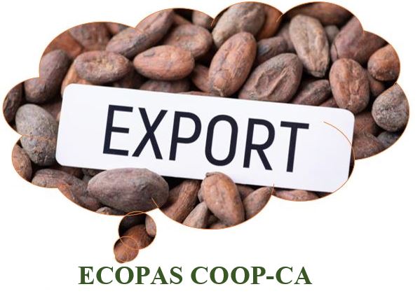 Vision de ECOPAS COOP CA.